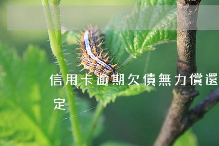 信用卡逾期欠債無力償還最新規(guī)定