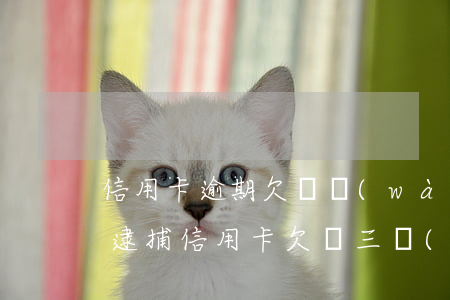 信用卡逾期欠兩萬(wàn)會(huì)逮捕(信用卡欠兩三萬(wàn)逾期了會(huì)不會(huì)坐牢)