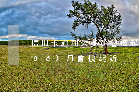 信用卡逾期欠多少會被起訴(欠信用卡幾個(gè)月會被起訴)