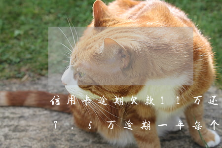 信用卡逾期欠款11万还款7万-欠信用卡7.5万逾期一年每个月都有还