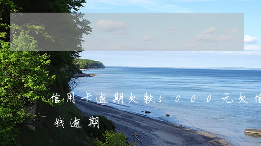 信用卡逾期欠款5000元(欠信用卡几千块钱逾期)