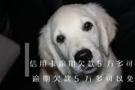 信用卡逾期欠款5万多可以免息吗-信用卡逾期欠款5万多可以免息吗知乎