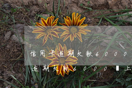 信用卡逾期欠款6000會上門嗎-信用卡逾期欠款6000會上門嗎知乎