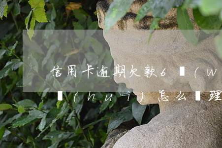 信用卡逾期欠款6萬(wàn)元銀行起訴會(huì)怎么處理-信用卡逾期欠款6萬(wàn)元銀行起訴會(huì)怎么處理呢