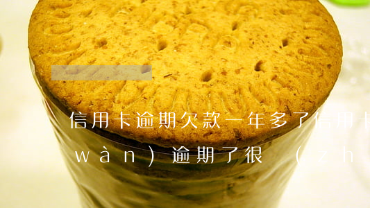 信用卡逾期欠款一年多了(信用卡欠款兩萬(wàn)逾期了很長(zhǎng)時(shí)間怎么辦)