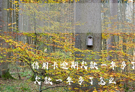 信用卡 逾期欠款一年多了怎么辦(信用卡 逾期欠款一年多了怎么辦)
