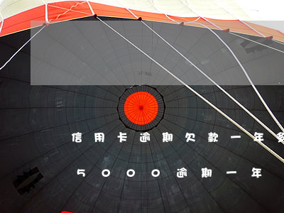 信用卡逾期欠款一年多了怎么辦(欠信用卡15000逾期一年)