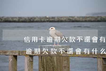 信用卡逾期欠款不還會有什么后果-信用卡逾期欠款不還會有什么后果嗎
