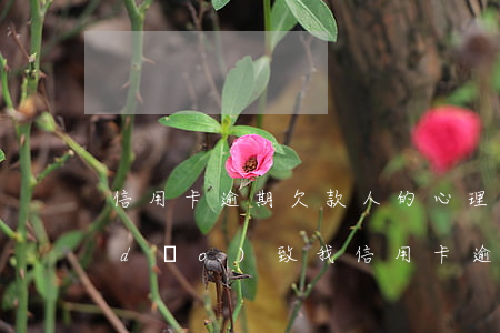 信用卡逾期欠款人的心理(別人欠錢不還導(dǎo)致我信用卡逾期)