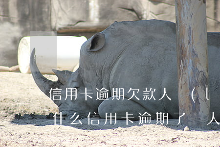信用卡逾期欠款人聯(lián)系不上(為什么信用卡逾期了沒人聯(lián)系我)