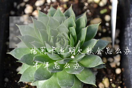 信用卡逾期欠款会怎么办 欠信用卡钱逾期了半年怎么办