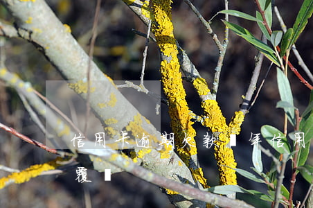 信用卡逾期欠款兩年(信用卡逾期欠款兩年就覆蓋)