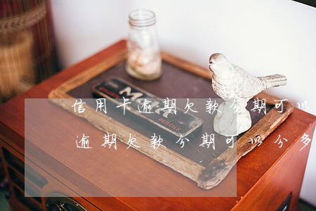 信用卡逾期欠款分期可以分多少期-信用卡逾期欠款分期可以分多少期还款