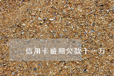 信用卡逾期欠款十一万