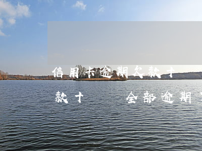 信用卡逾期欠款十幾萬怎么辦(7張信用卡欠款十幾萬全部逾期了怎么辦)