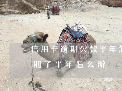 信用卡逾期欠款半年怎么處理(欠信用卡錢逾期了半年怎么辦)