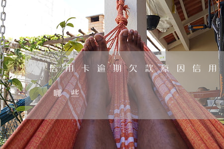 信用卡逾期欠款原因(信用卡逾期欠款原因有哪些)