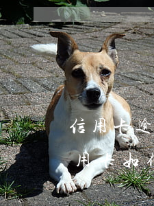 信用卡逾期欠款后怎么協(xié)商(欠信用卡如何協(xié)商還款)