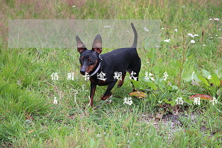 信用卡逾期欠款多長(zhǎng)時(shí)間起訴-信用卡逾期欠款多長(zhǎng)時(shí)間起訴