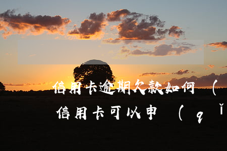 信用卡逾期欠款如何協(xié)商還款 欠信用卡可以申請(qǐng)協(xié)商還款
