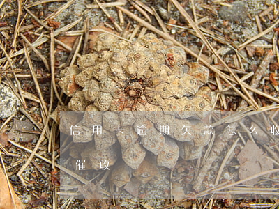 信用卡逾期欠款怎么收-欠信用卡逾期上門催收