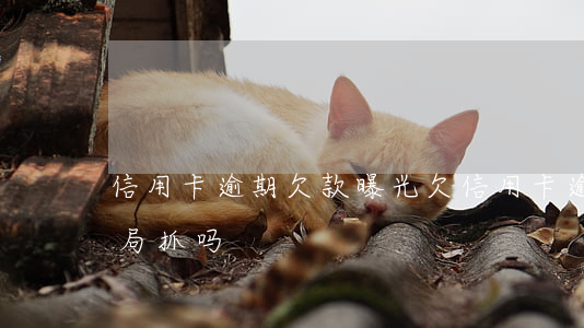 信用卡逾期欠款曝光(欠信用卡逾期会被公安局抓吗)
