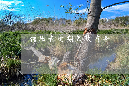 信用卡逾期欠款有事嗎