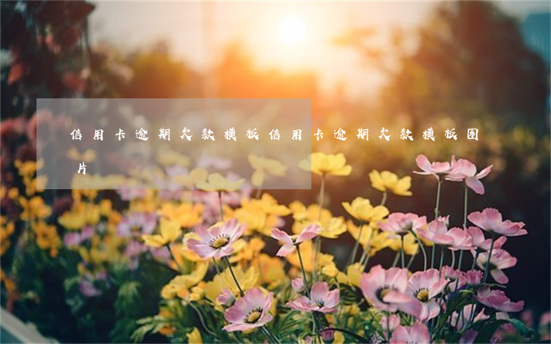 信用卡逾期欠款模板(信用卡逾期欠款模板图片)