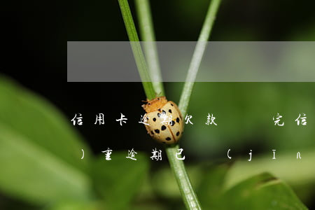 信用卡逾期欠款沒還完(信用卡有嚴(yán)重逾期已經(jīng)還清)