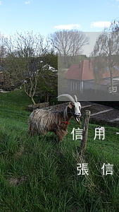 信用卡逾期欠款沒還清有滯納金嗎(不知道哪張信用卡逾期了)