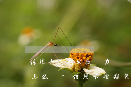 信用卡逾期欠款無力償還應(yīng)該怎么辦-信用卡逾期欠款無力償還應(yīng)該怎么辦呢
