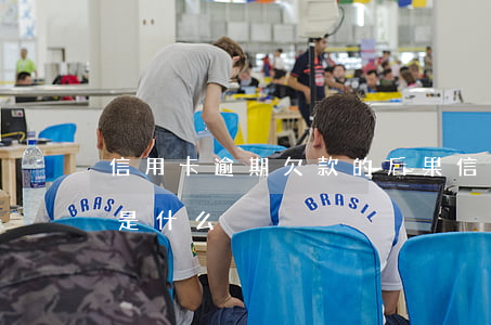 信用卡 逾期欠款的后果(信用卡逾期嚴重后果是什么)