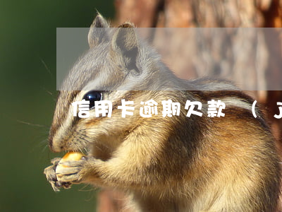 信用卡逾期欠款結(jié)清證明