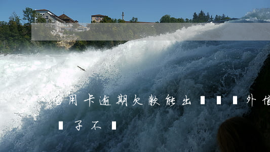 信用卡逾期欠款能出國嗎(國外信用卡欠款一輩子不還)