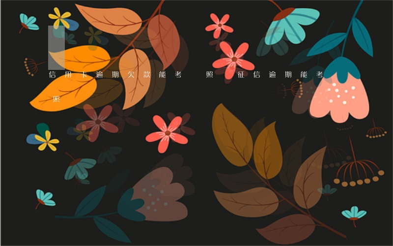 信用卡逾期欠款能考駕照嗎(征信逾期能考駕照嗎)