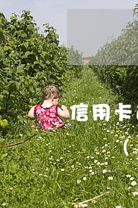 信用卡逾期欠款說上門取證(欠信用卡的錢上門調(diào)查是真的嗎)