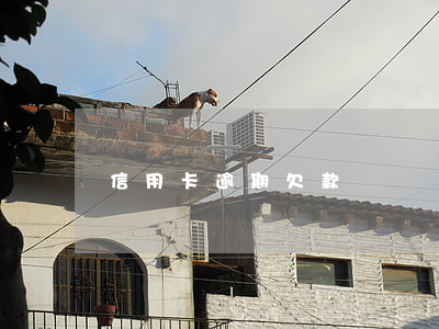 信用卡逾期欠款賬單圖(信用卡逾期賬單圖片)