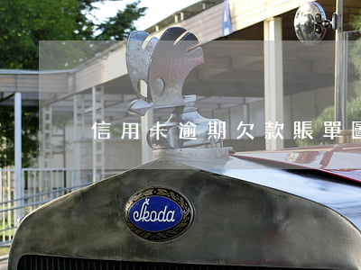 信用卡逾期欠款賬單圖(逾期欠款圖片)