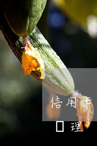 信用卡逾期欠款賬單(欠銀行信用卡逾期怎么處理)