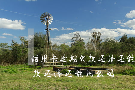 信用卡逾期欠款还清还能用么 信用卡逾期欠款还清还能用么吗