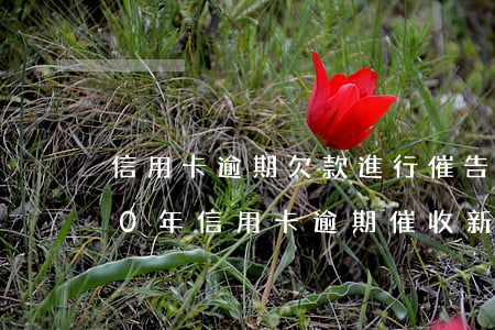 信用卡逾期欠款進行催告意味什么-2020年信用卡逾期催收新規(guī)定