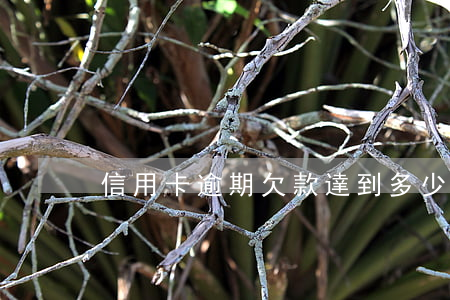 信用卡逾期欠款達到多少會被起訴