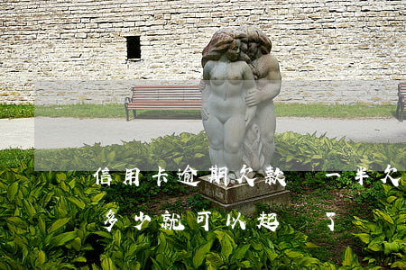 信用卡逾期欠款還一半(欠信用卡逾期還不上多少就可以起訴了)