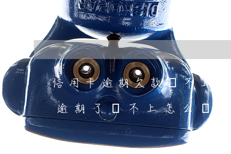 信用卡 逾期欠款還不上怎么辦(欠信用卡的錢逾期了還不上怎么辦)