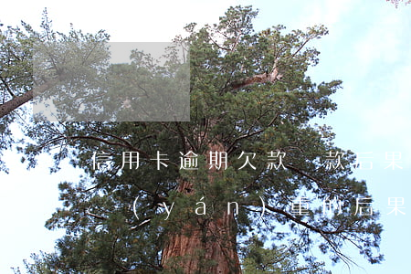 信用卡 逾期欠款還款后果(信用卡逾期不還最嚴(yán)重的后果是什么)
