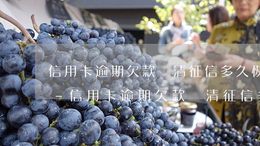 信用卡逾期欠款還清征信多久恢復(fù)-信用卡逾期欠款還清征信多久恢復(fù)正常