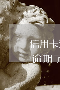 信用卡逾期欠款還清還能用嗎(欠信用卡的錢逾期了可以慢慢還嗎)