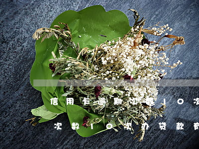 信用卡逾期次数10次办贷款-信用卡逾期次数10次办贷款有影响吗