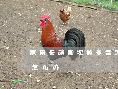 信用卡逾期次数多会怎样(信用卡有几次逾期怎么办)