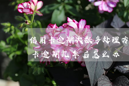 信用卡逾期次数多处理方法(因特殊原因信用卡逾期几年后怎么办)